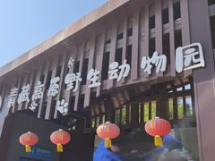-青藏高原野生动物园