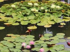 -国家植物园南园