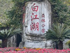 -广州白江湖森林公园