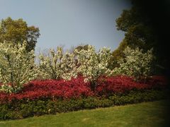 -昆山城市生态森林公园