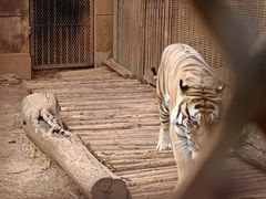 -昆明动物园