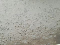 -北海金海湾红树林生态旅游区