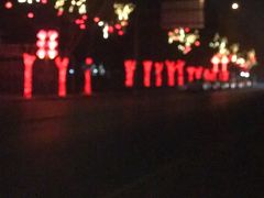 -康庄公园