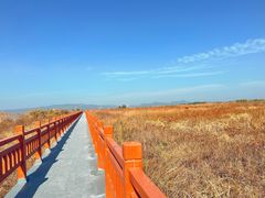 -湖南东洞庭湖国家级自然保护区