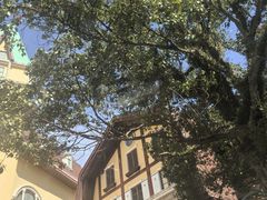 -深圳东部华侨城茵特拉根酒店