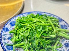 -生态苑农庄(十里画廊遇龙河店)