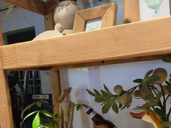 -木屋烧烤(南新店)