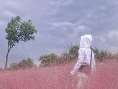-上海滨江森林公园