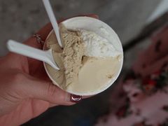 -DIP in GELATO(富民路店)