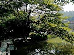 -广州雕塑公园
