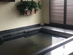 -春晖园度假酒店温泉