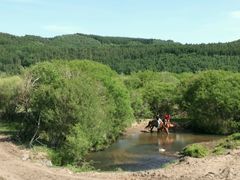 -塞罕坝国家级自然保护区