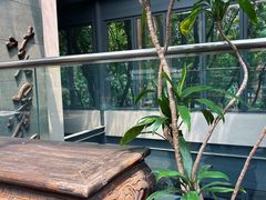 -芙蓉堂(武汉天地店)