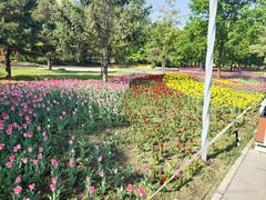 -长春公园(普阳街道)