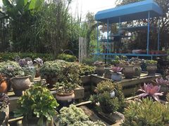 -三圣花乡旅游区