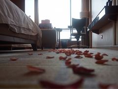 -南京商茂国际酒店(新街口德基广场店)