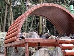 -杭州野生动物世界