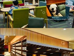 -大江户·温泉洗浴(浑南店)