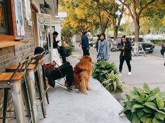 -BE YOLO必有乐&小红帽三明治
