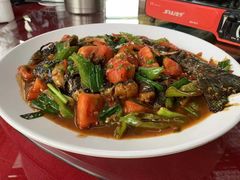 -生态苑农庄(十里画廊遇龙河店)