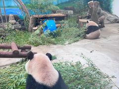 -杭州动物园