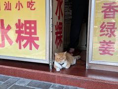 -汕头市小公园