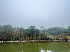 -广州市帽峰山景区