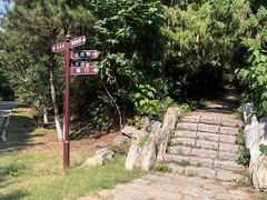 -云岗森林公园