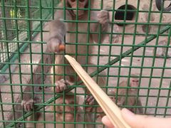 -南京金牛湖风景区