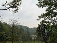 -凤栖山
