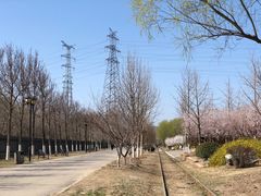 -永定河休闲森林公园