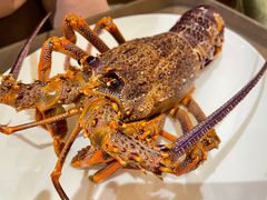 -利苑酒家(华熙国际店)