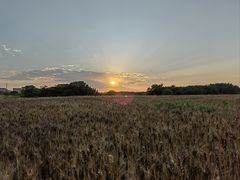 -汉长安城未央宫国家考古遗址公园