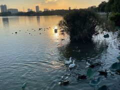 -海珠湖公园