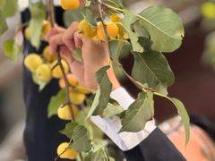 -京兆尹(雍和宫店)