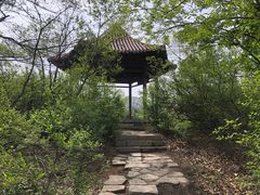 -望溪公园