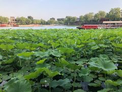 -小王府(什刹海店)