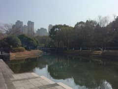 -桐乡植物园