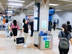 -大望路(地铁站)
