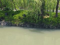 -苏州河梦清园环保主题公园