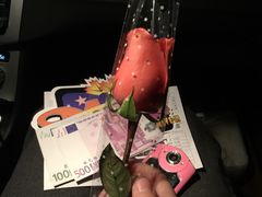 -枫花园汽车电影院(朝阳公园店)