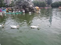 -团结湖公园