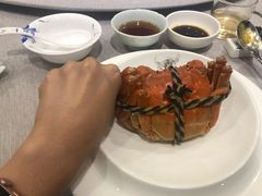 -新光酒家·河豚·海鲜·蟹料理(浦东店)