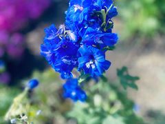-国家植物园