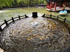 -百脉泉景区