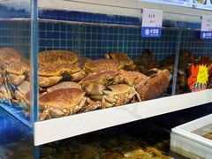 -大锅强·蒸海鲜青岛菜(吾悦广场店)