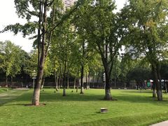 -重庆市江北嘴中央商务区中央公园