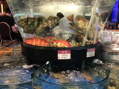 -陶陶居海鲜酒家(新马路店)