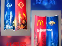 -麦当劳(塔园路店)