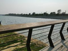 -丁香湖公园